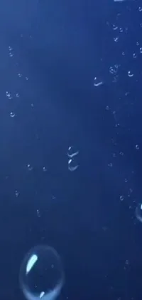 This phone live wallpaper features floating bubbles on top of a blue surface, reminiscent of a nature documentary scene