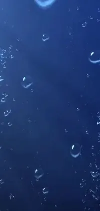 This live wallpaper features a stunning 3D animation of bubbles floating atop a serene blue surface, surrounded by an oceanic backdrop