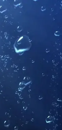 Looking for a stunning live wallpaper for your phone? Look no further than this dynamic and immersive option! Featuring a bunch of bubbles floating serenely on top of a blue surface, this wallpaper also incorporates elements of submarine camera imagery and underwater plants gracefully swaying in the current