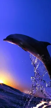 This phone live wallpaper showcases a breathtaking digital art piece of a dolphin jumping out of the water at sunset