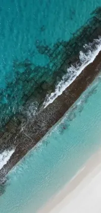 This phone live wallpaper captures an airborne view of a mesmerizing body of water adjacent to a sandy beach