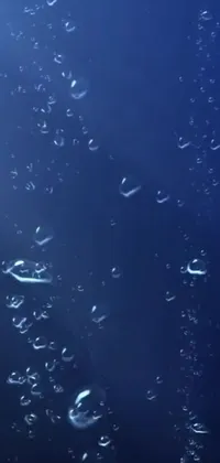 Experience the calming ambiance of a deep-sea adventure with this live wallpaper
