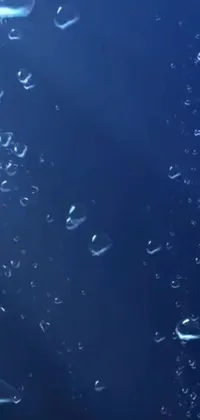 Looking for a calming phone wallpaper? This deep blue ocean live wallpaper features bubbles floating effortlessly in the water