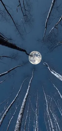 This phone live wallpaper features a serene night scene in a forest, depicting a full moon shining brightly through the trees