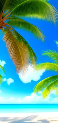 Bring a tropical paradise to your phone with this stunning live wallpaper
