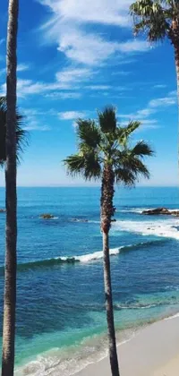 California Beach Live Wallpaper