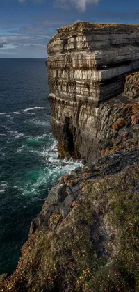 This stunning phone live wallpaper depicts a majestic rocky cliff teeming with intricate details