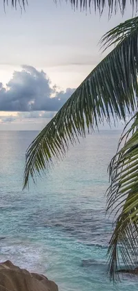 Transform your phone into a tropical oasis with this stunning live wallpaper