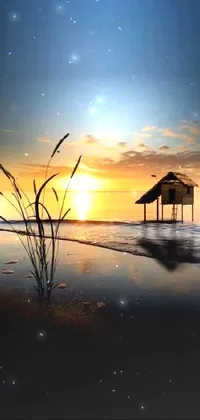 This stunning live wallpaper depicts a hut on a beach, overlooking the ocean at sunset