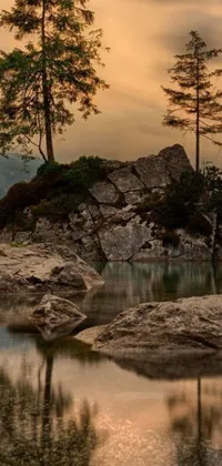 This phone live wallpaper features the beauty of nature with a tree on a large rock formation near a serene body of water