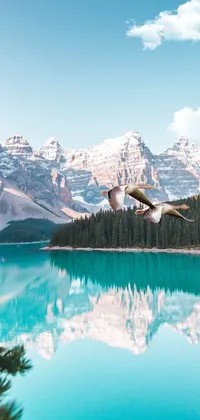 This stunning live wallpaper for your phone features a serene body of water surrounded by trees in Banff National Park