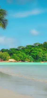 beautiful tropical beach Live Wallpaper