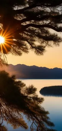 The Pine Tree Live Wallpaper showcases a stunning sunset over a scenic mountain and lake landscape