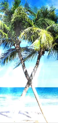 Palm trees 2 Live Wallpaper
