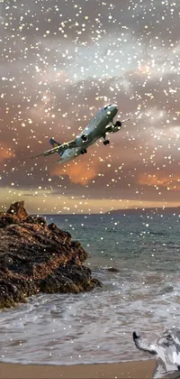 This stunning live wallpaper features a plane flying over a beautiful beach on Maui, next to the ocean