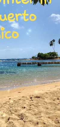 This phone live wallpaper features a stunning image of a winter beach in Puerto Rico