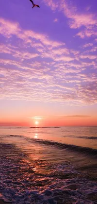 Water Sky Cloud Live Wallpaper