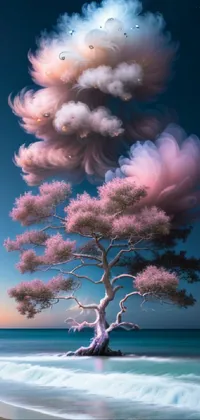 Water Sky Cloud Live Wallpaper