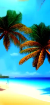 This phone live wallpaper features a peaceful tropical beach with palm trees in stunning 4k resolution