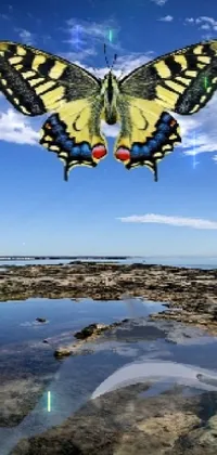This phone live wallpaper showcases a butterfly gracefully flying above a water body