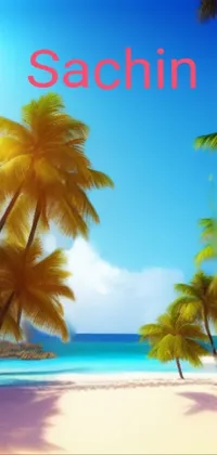 This phone live wallpaper features a stunning beach scene with towering palm trees against a beautiful blue sky