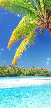 a tropical day Live Wallpaper