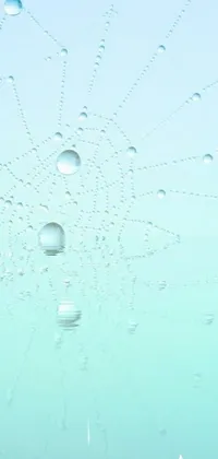 A beautiful phone live wallpaper depicting water droplets on a window, with a spiderweb landscape and seafoam