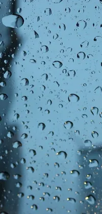 Adorn your mobile phone with the stunning live wallpaper of a rainy window