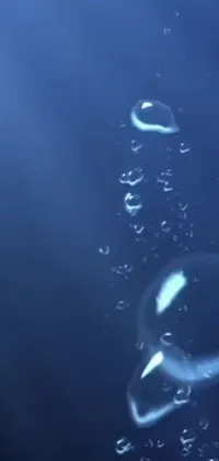 This phone live wallpaper features a cluster of floating bubbles in deep blue waters with sea creatures swimming in the background, creating a calming and mesmerizing atmosphere