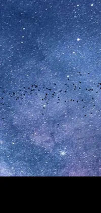 This live phone wallpaper showcases a breathtaking scene of birds in flight illuminated against a dark blue and purple background
