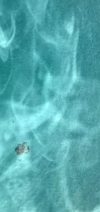 This phone live wallpaper features a mesmerizing body of water with a unique substance layered in it