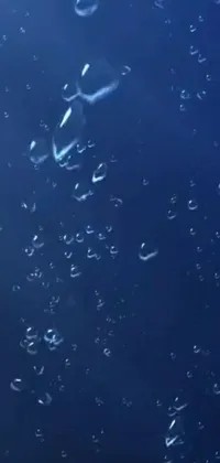The phone live wallpaper boasts a stunning display of bubbles floating in water, creating a relaxing ambiance for the user