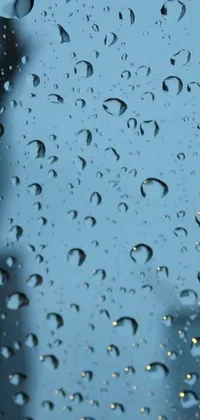 Experience the beauty of nature with this hyperrealistic phone live wallpaper featuring water droplets on a window