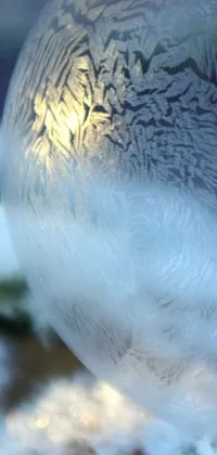 This live wallpaper features a snow globe set on a snow-covered ground