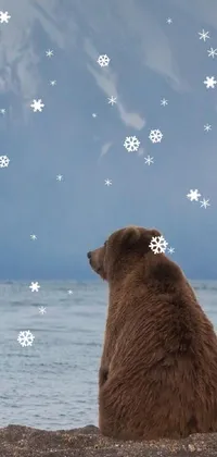 Water Sky Fawn Live Wallpaper