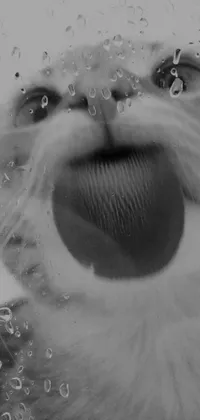This live phone wallpaper showcases a captivating black and white closeup photograph of a playful cat sticking out its tongue