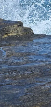 This live phone wallpaper depicts a thrilling image of a surfer riding a wave effortlessly on his surfboard in the ocean