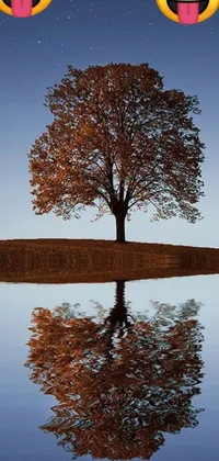 This phone live wallpaper is an exquisite work of art featuring a majestic tree in the center of a still body of water