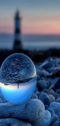 This stunning live wallpaper features a magical glass ball holding a frozen ice phoenix egg, resting on pebbled rocks