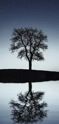 This stunning live phone wallpaper showcases a beautiful tree and its reflection in tranquil waters