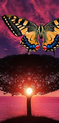 Get lost in the beauty of this lively and vibrant phone live wallpaper featuring a pop-art butterfly flying over a lush tree at sunset