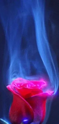 This stunning live wallpaper features a beautiful flower illuminated by red neon roses and magical blue fire