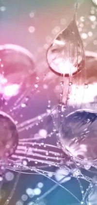 This live wallpaper features beautiful digital art of water droplets on a flower with disco balls and soft colors