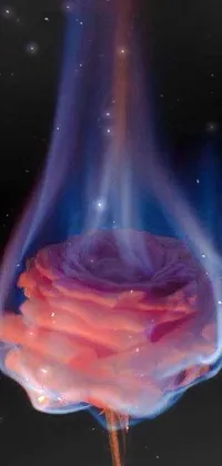 This mesmerizing phone live wallpaper showcases a dramatic close-up of a rose in flames
