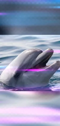 Introducing a stunning phone live wallpaper featuring a playful dolphin in the water with its mouth open