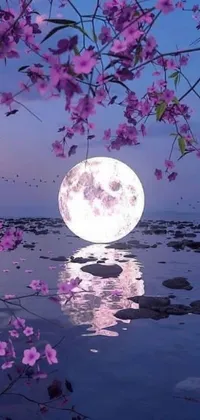 Enjoy the beauty of a full moon rising over a peaceful body of water on your phone with this live wallpaper