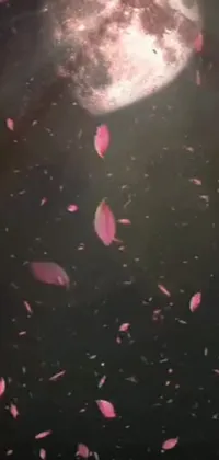 This is a stunning phone live wallpaper featuring pink flowers floating on water, with a microscopic photo effect providing incredible detail