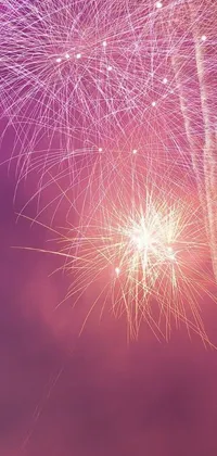 This phone live wallpaper showcases a captivating firework display set against a picturesque backdrop