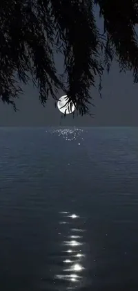 Adorn your phone screen with the enchanting and serene full moon live wallpaper