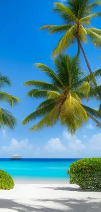 This live wallpaper features two towering palm trees set against a stunning sandy beach in the Caribbean